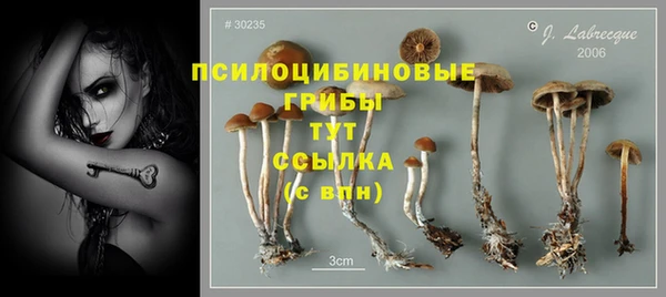 винт Арсеньев