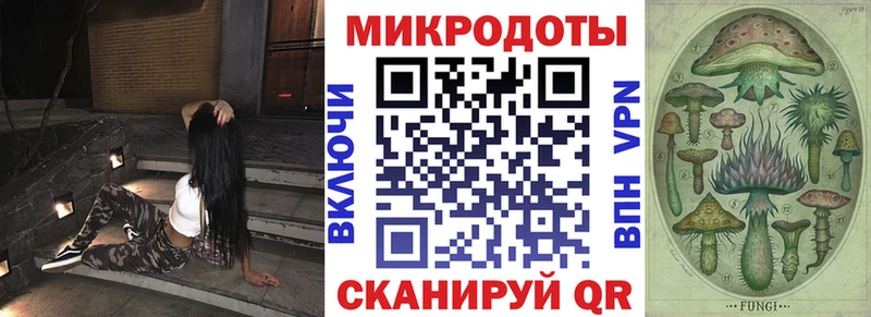 Псилоцибиновые грибы GOLDEN TEACHER  Купить где  Ельня 